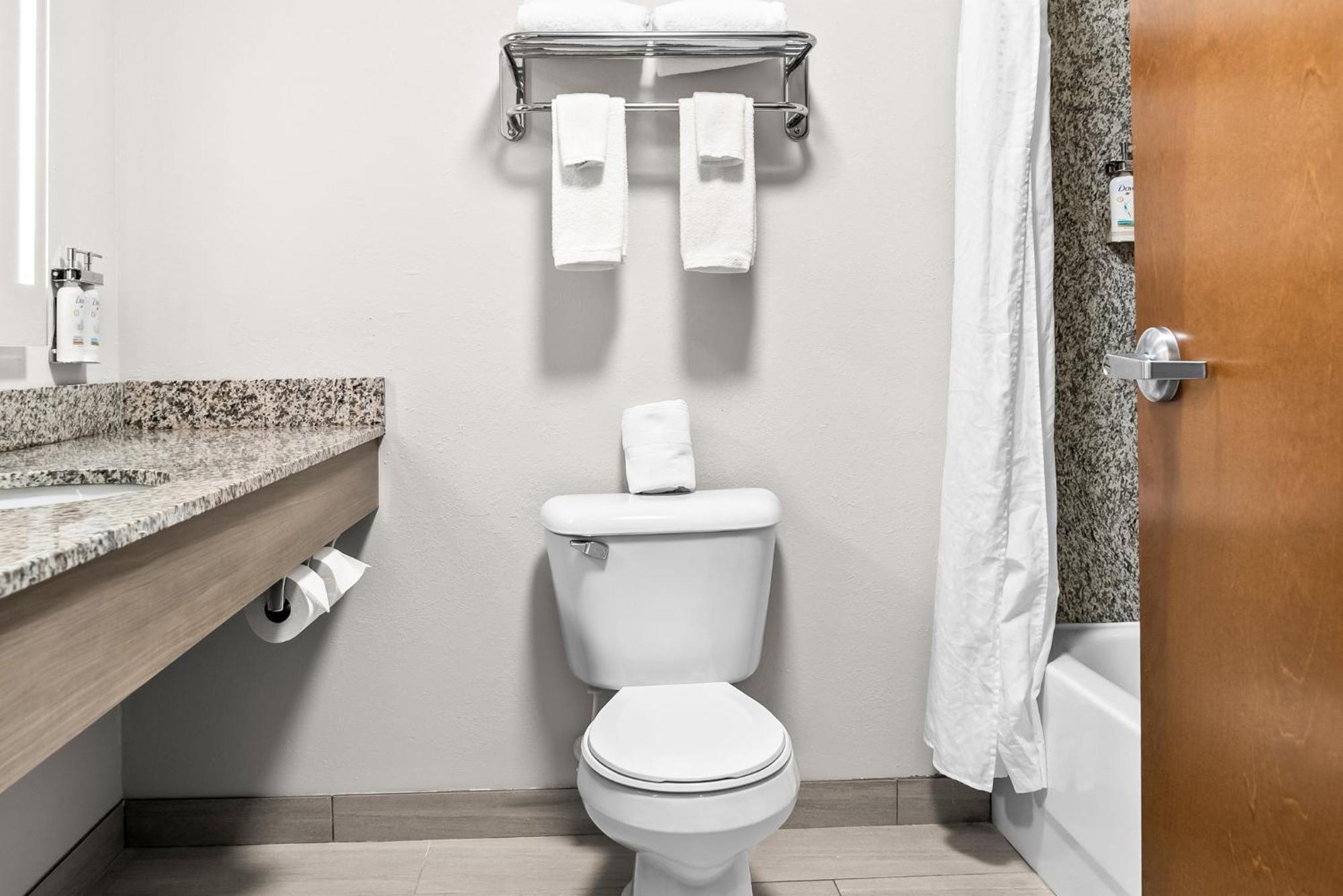 Holiday Inn Express & Suites Detroit - Novi By Ihg מראה חיצוני תמונה